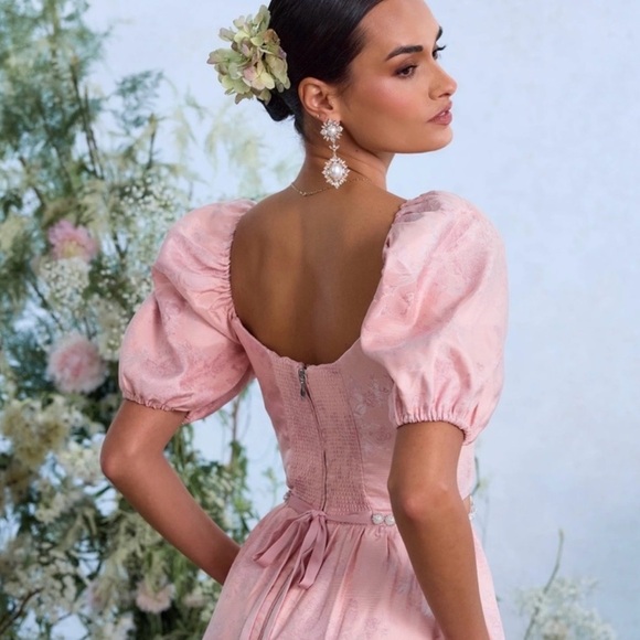 NWT V. Chapman The Emma Dress In Light Pink Windsor Brocade Floral Rhinestone 10 - Picture 5 of 13